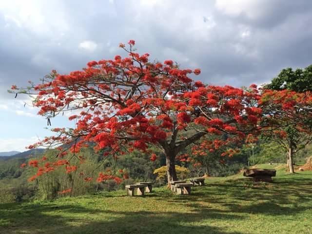 Fazenda Caturama Hotel Areal Buitenkant foto